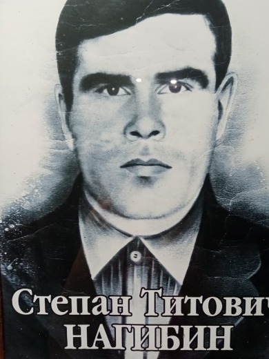 Нагибин Степан Титович