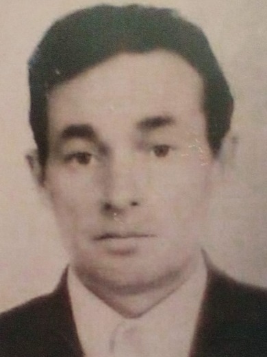 Родин Владимир Степанович