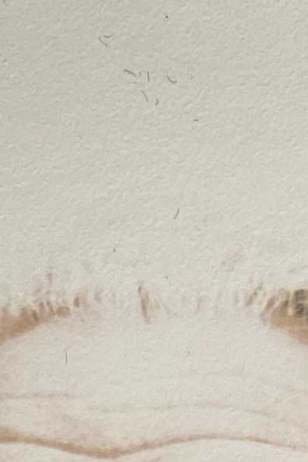 Егиазарян Арташес Гегамович