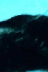 Булыгин Николай Дмитриевич