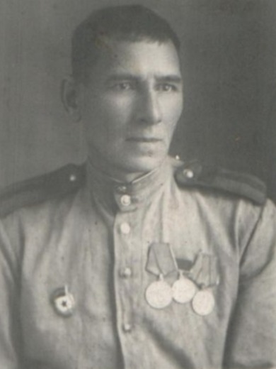 Земцов Дмитрий Васильевич