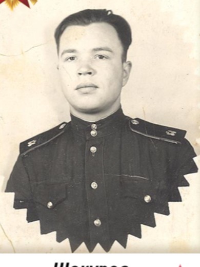 Шокуров Николай Александрович