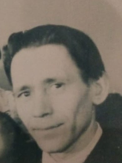 Веснин Василий Платонович