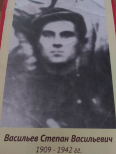 Васильев Степан Васильевич