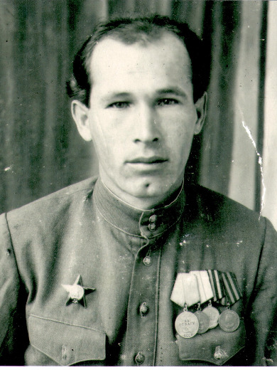 Добровольский Михаил Семенович