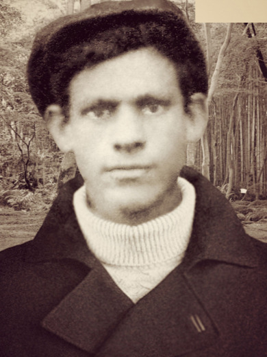 Митин Михаил Степанович