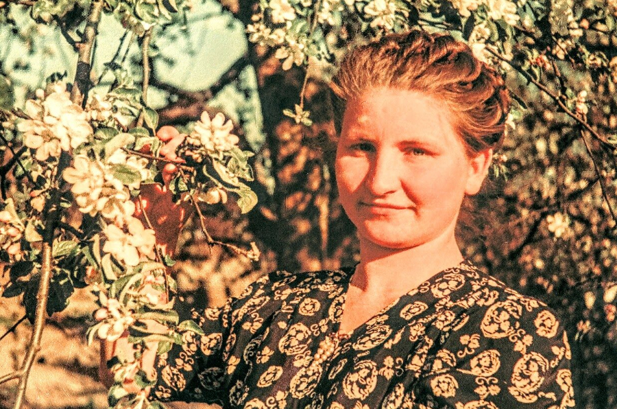 Козлова (Лозицкая) Вера Александровна