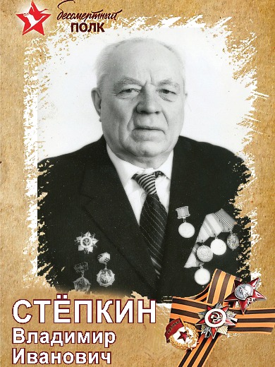 Стёпкин Владимир Иванович