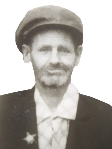 Павлушин (Павлуша) Василий Петрович