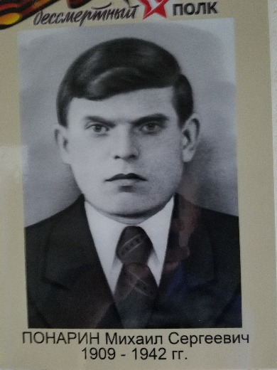 Панарин Михаил Сергеевич