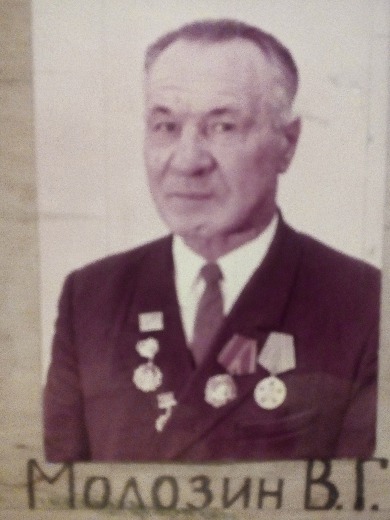 Молозин Владимир Гаврилович