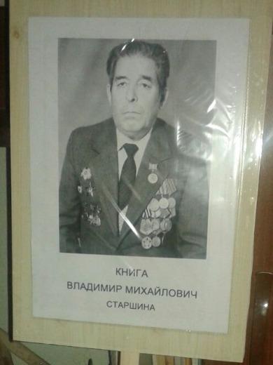 Книга Владимир Михайлович