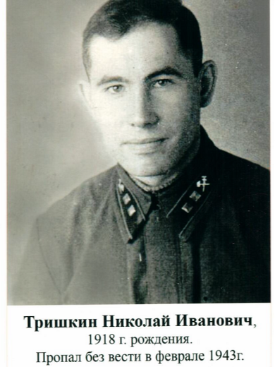 Тришкин Николай Иванович