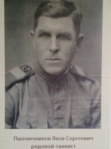 Пшеничников Яков Сергеевич