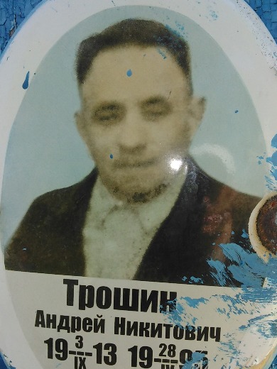 Трошин Андрей Никитович
