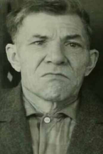 Погодин Михаил Петрович