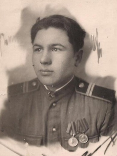 Волгин Владимир Степанович