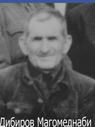Дибиров Магомеднаби