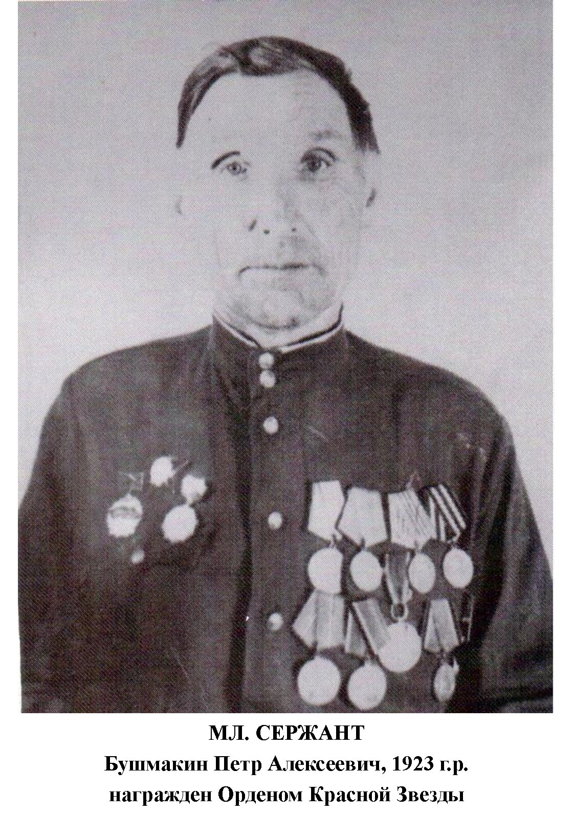 Бушмакин Петр Алексеевич