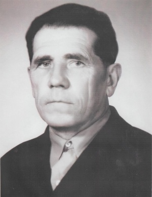 Никитин Владимир Алексеевич
