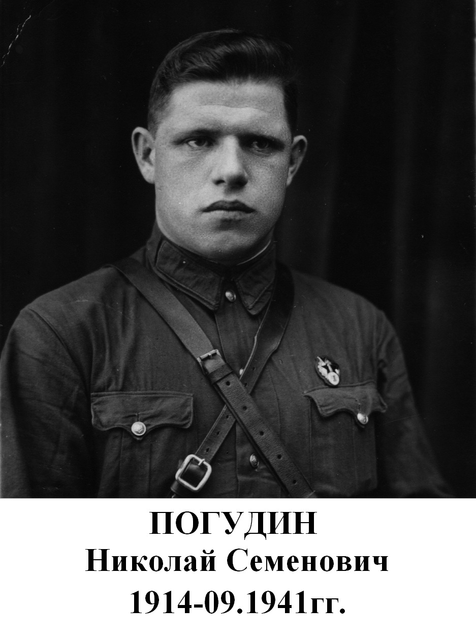 Погудин Николай Семенович