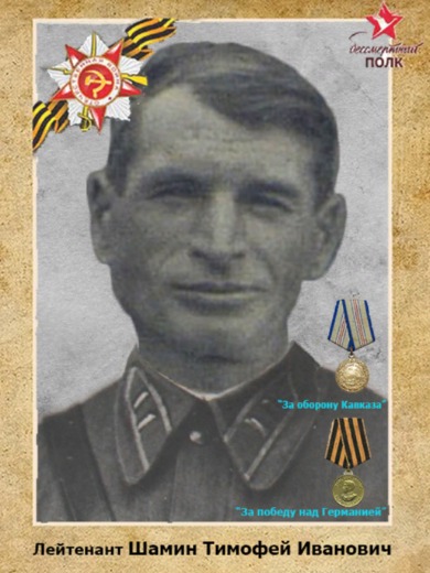 Шамин Тимофей Иванович