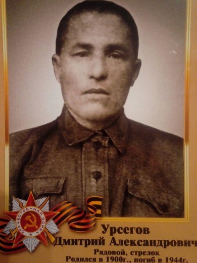 Урсегов Дмитрий Александрович