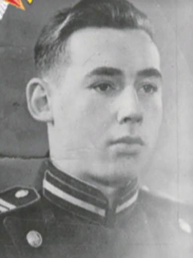 Георгиев Владимир Константинович