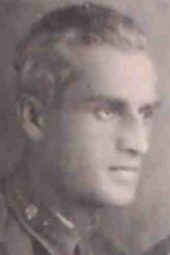 Цивцивадзе Михаил| Дементьевич