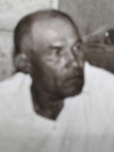 Метликин Дмитрий Петрович