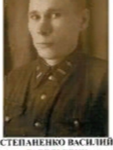 Степаненко Василий Савельевич