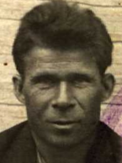 Шипунов Александр Семенович