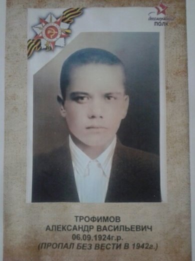 Трофимов Александр Васильевич