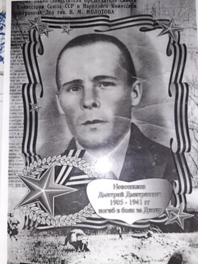 Новожилов Дмитрий Дмитриевич