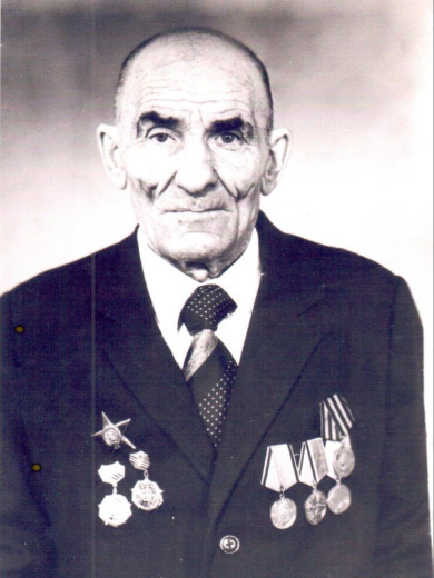 Пелагеин Василий Дмитриевич