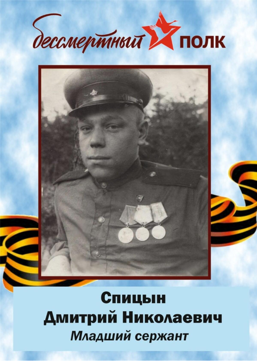 Спицин Дмитрий Николаевич