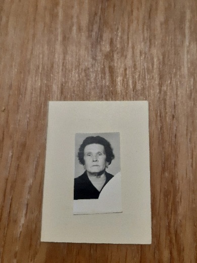 Белоногова Алевтина Дмитриевна