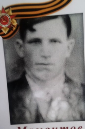 Мамонтов Николай Иванович