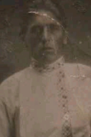 Шубин Николай Степанович