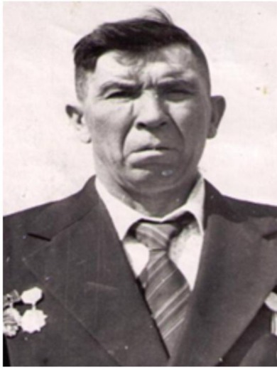 Телин Геннадий Егорович