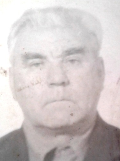 Степин Федор Григорьевич