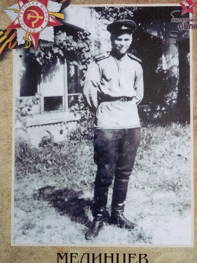 Мединцев Василий Васильевич