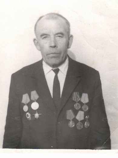 Шатеневский Александр Ильич