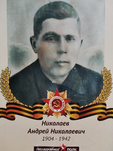 Николаев Андрей Николаевич