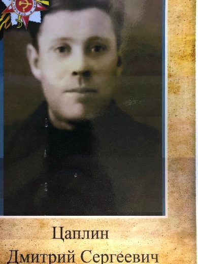 Цаплин Дмитрий Сергеевич