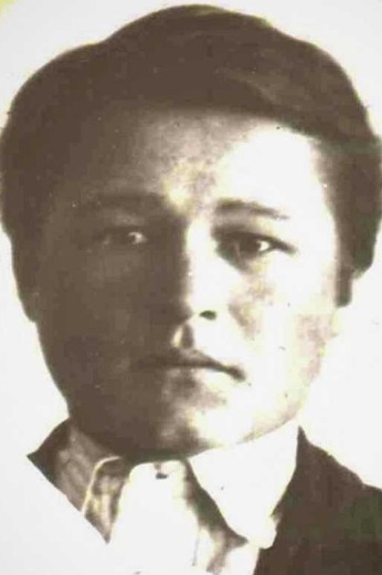 Разживин Владимир Яковлевич