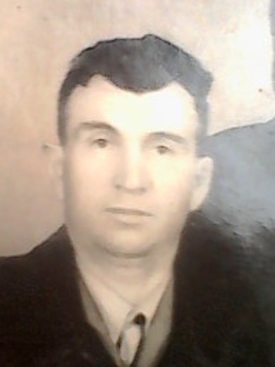 Янюк Андрей Гермогенович