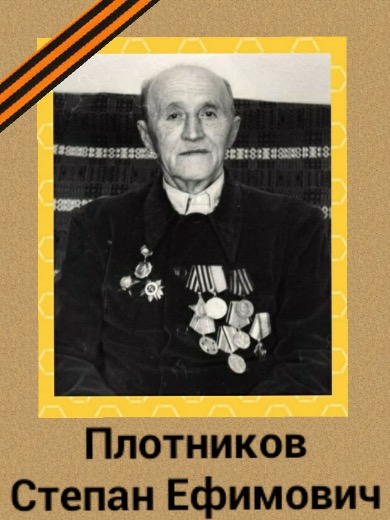 Плотников Степан Ефимович