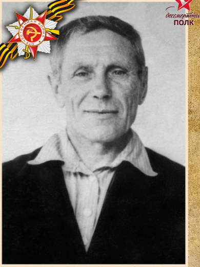 Петунин Прокофий Михайлович