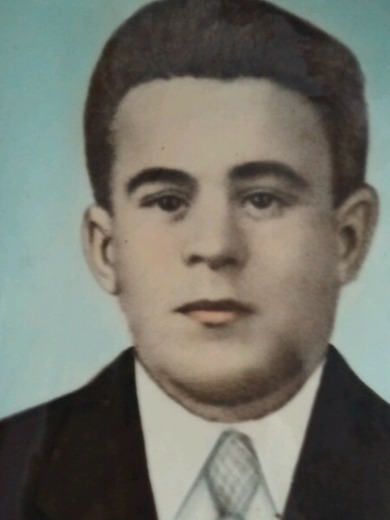 Городков Дмитрий Павлович